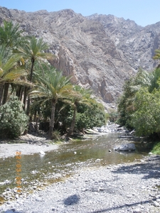 20. Wadi Bani Awf. Een prachtige oase. IMGP1753