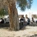 27. Picnic in mgeving Jabreen castle. IMGP1815