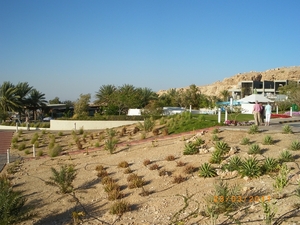 36.  Hotel Mercure Grand Jebel Hafeet in Al Ain. IMGP1832