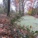 2012-11-17 Aalst 042