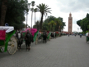 Marrakech (3)