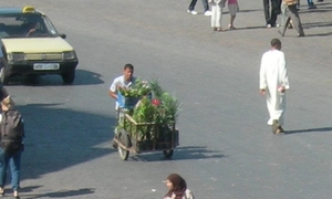 Marrakech (16)