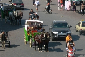 Marrakech (17)