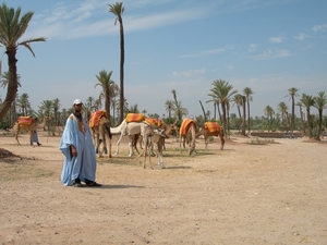 Marrakech (20)