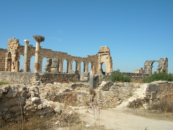 Meknes (12)