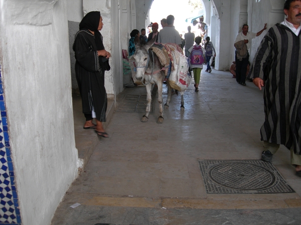 Meknes (15)