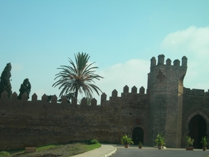 RABAT (3)