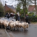 De herder waakt over zijn schapen