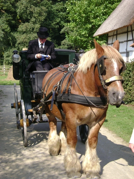 Bokrijk 019