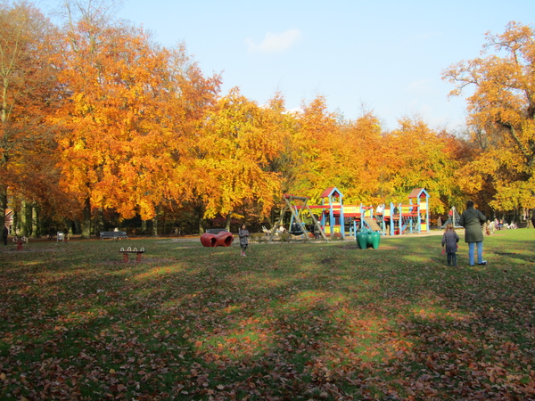 Herfstkleuren