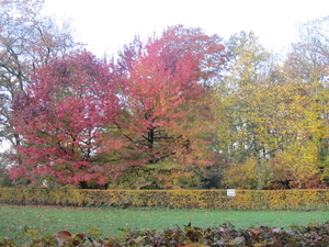 Park van Brasschaat