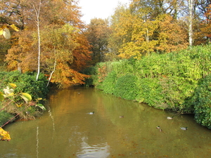 Park van Brasschaat