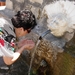 400 jaar oude bron - de waterspuwers van de Bron des Levens