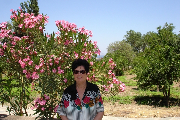In Pyli