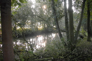 Wandeling Brasschaat en parken 003