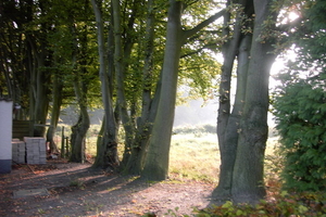 Wandeling Brasschaat en parken 016