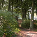 Wandeling Brasschaat en parken 022