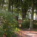 Wandeling Brasschaat en parken 022