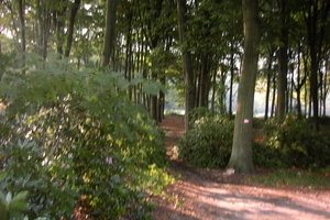 Wandeling Brasschaat en parken 022