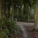 Wandeling Brasschaat en parken 023