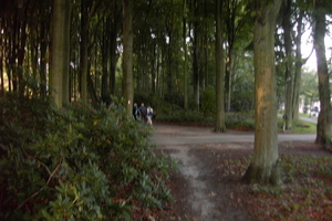 Wandeling Brasschaat en parken 023