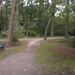 Wandeling Brasschaat en parken 044