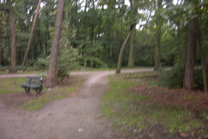 Wandeling Brasschaat en parken 044