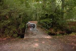 Wandeling Brasschaat en parken 051