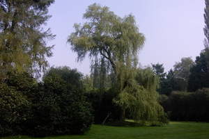 Wandeling Brasschaat en parken 060