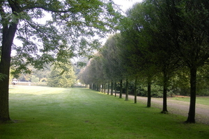 Wandeling Brasschaat en parken 061