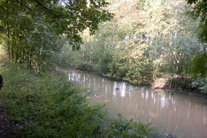 Wandeling Brasschaat en parken 100