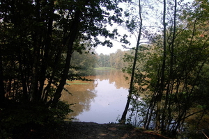 Wandeling Brasschaat en parken 105