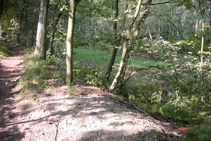 Wandeling Brasschaat en parken 109