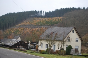 2012-11-16 Burg Reuland (124)