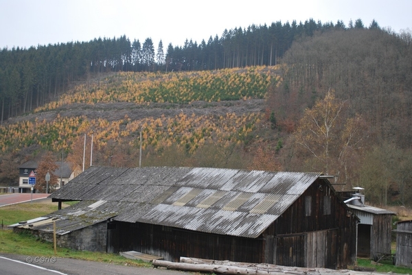 2012-11-16 Burg Reuland (125)