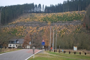 2012-11-16 Burg Reuland (128)