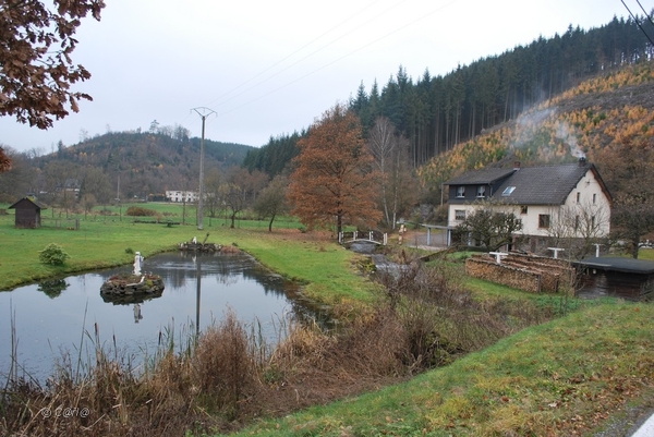 2012-11-16 Burg Reuland (133)