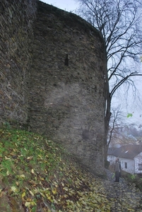 2012-11-16 Burg Reuland (183)