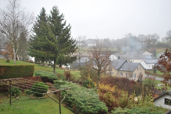 2012-11-16 Burg Reuland (186)