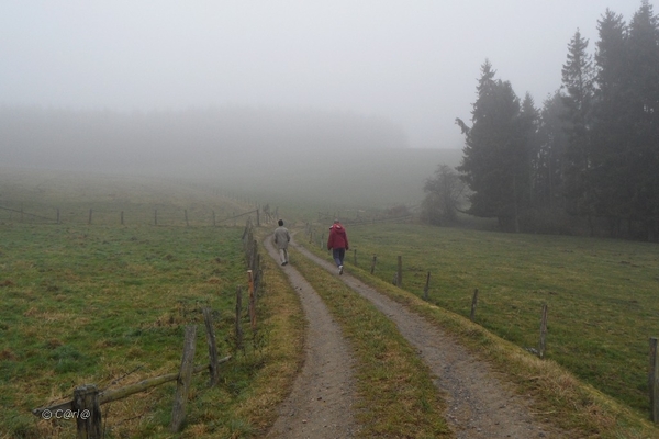 2012-11-16 Burg Reuland (198)