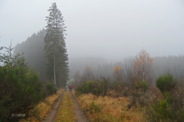 2012-11-16 Burg Reuland (199)
