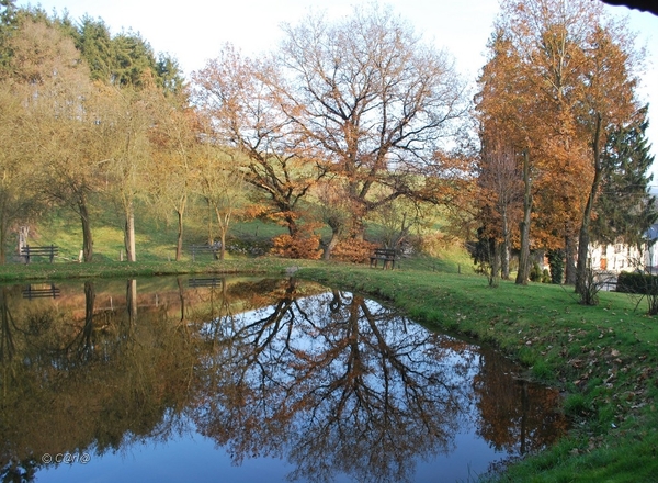 2012-11-16 Burg Reuland (28)