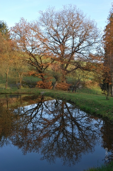 2012-11-16 Burg Reuland (29)