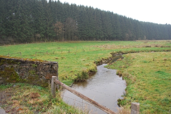 2012-11-16 Burg Reuland (73)