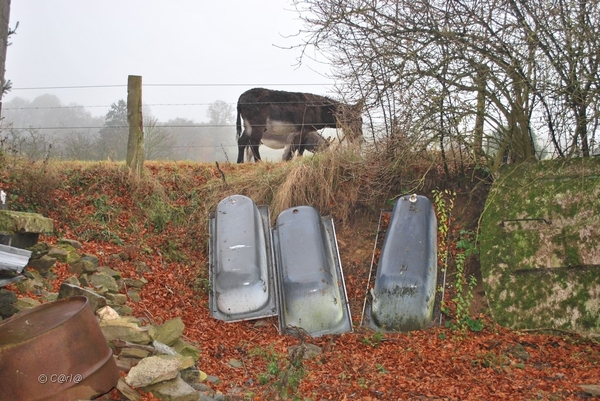 2012-11-16 Burg Reuland (81)