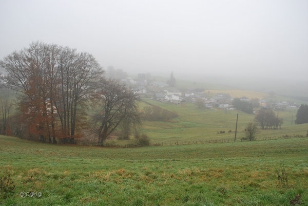 2012-11-16 Burg Reuland (83)