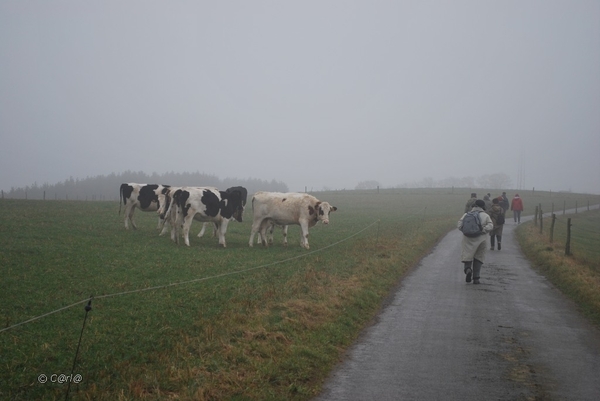 2012-11-16 Burg Reuland (86)