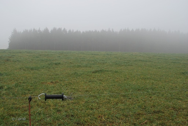 2012-11-16 Burg Reuland (93)