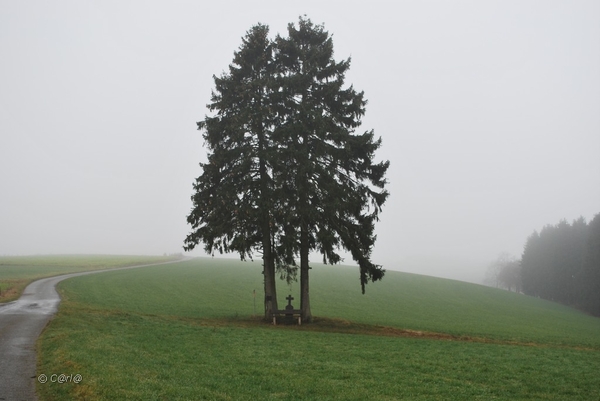 2012-11-16 Burg Reuland (96)