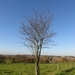 2012-11 22 Ternat 014